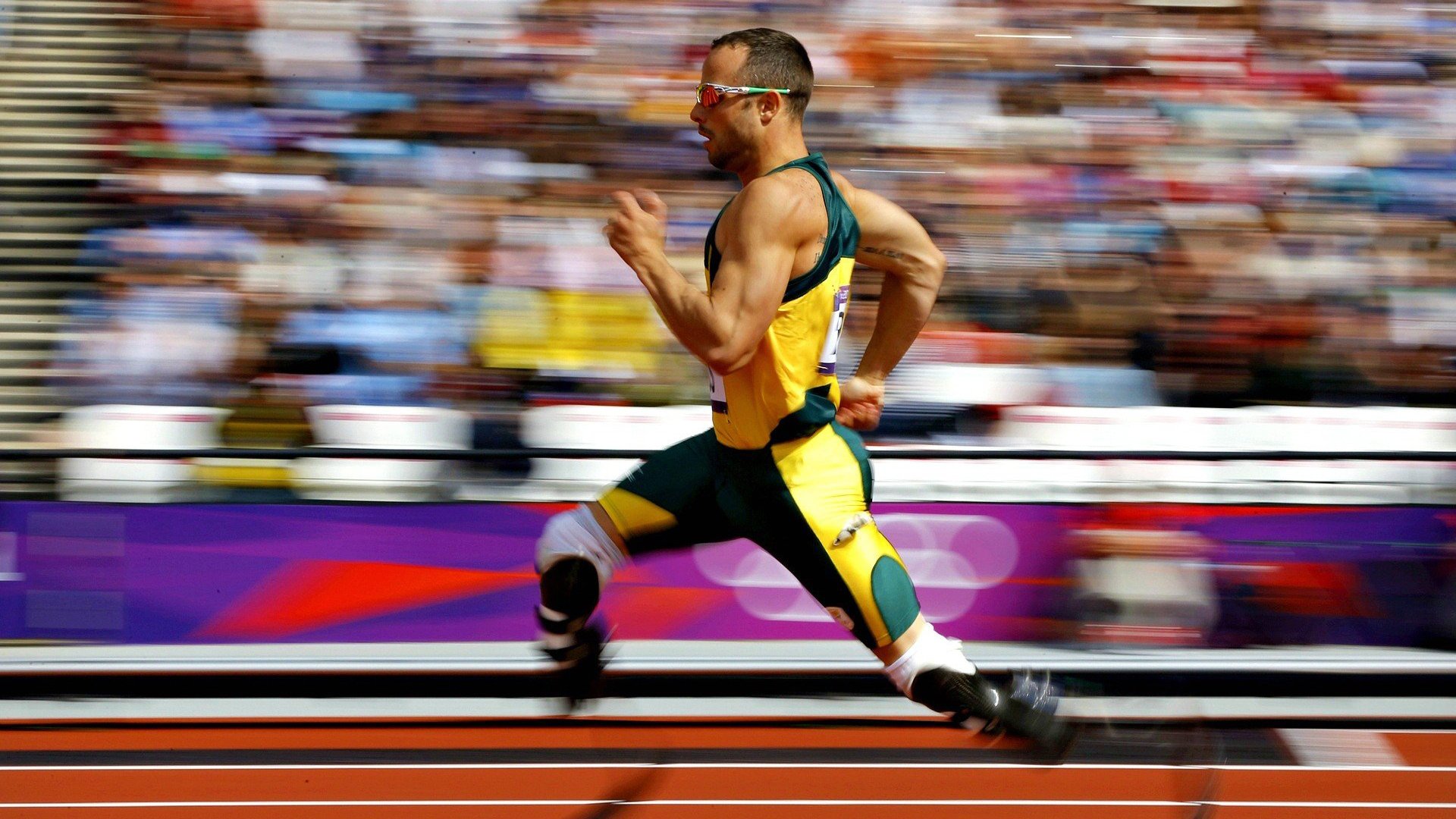 南非橄榄球崛起：年轻力量推动新一轮巅峰，南非 橄榄球